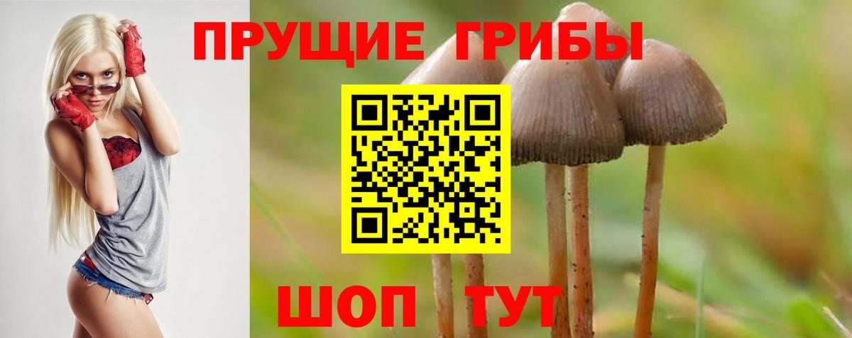 Псилоцибиновые грибы ЛСД  Галлюциногенные грибы Cubensis  Гулькевичи  Вход с VPN 