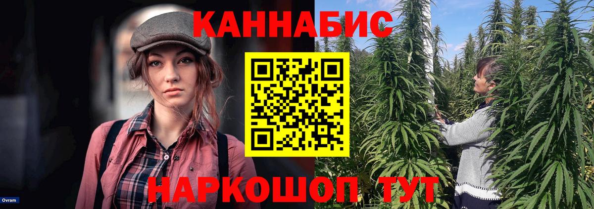 Конопля White Widow Гулькевичи